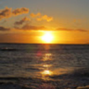 Meet your Posher, Jacqueline